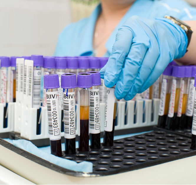 Прием анализов крови, мочи, кала