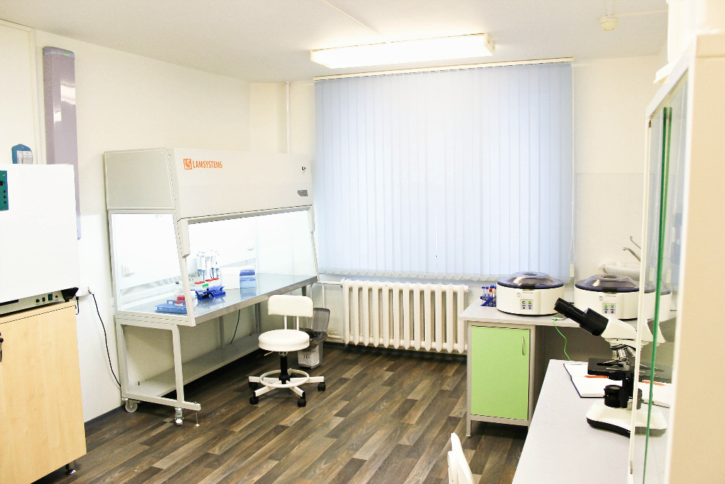 Цитотоксичность